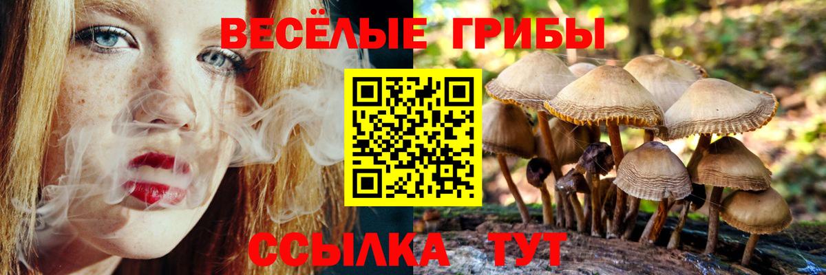Дубна  Галлюциногенные грибы Magic Shrooms  Псилоцибиновые грибы Cubensis  Вход с VPN 